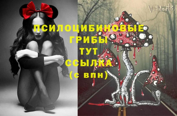 гашик Аркадак