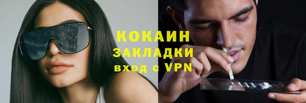 гашик Аркадак
