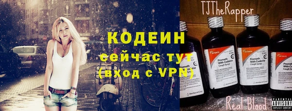 спиды Арсеньев