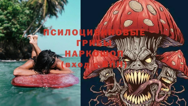 спиды Арсеньев